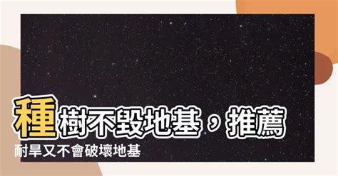 不會破壞地基的樹種|【不會破壞地基的樹種】自家院子種啥樹根不破壞地基？精選不會。